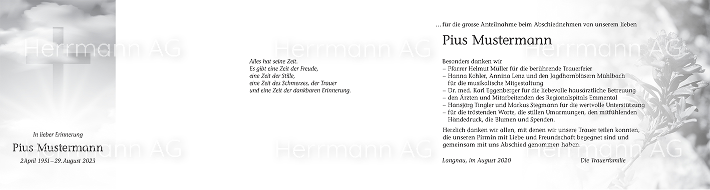 Text-Bild