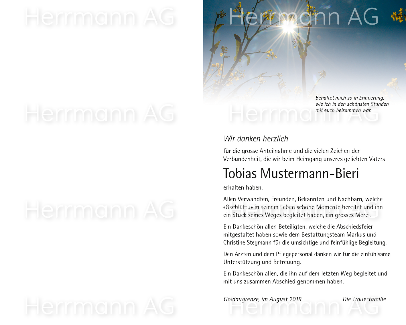 Text-Bild