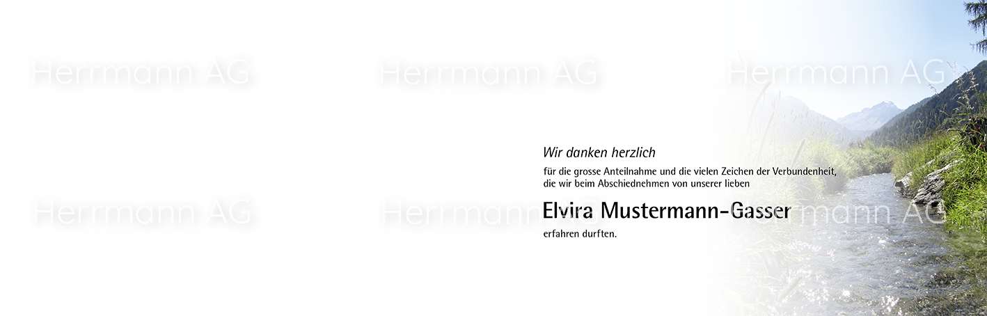 Text-Bild